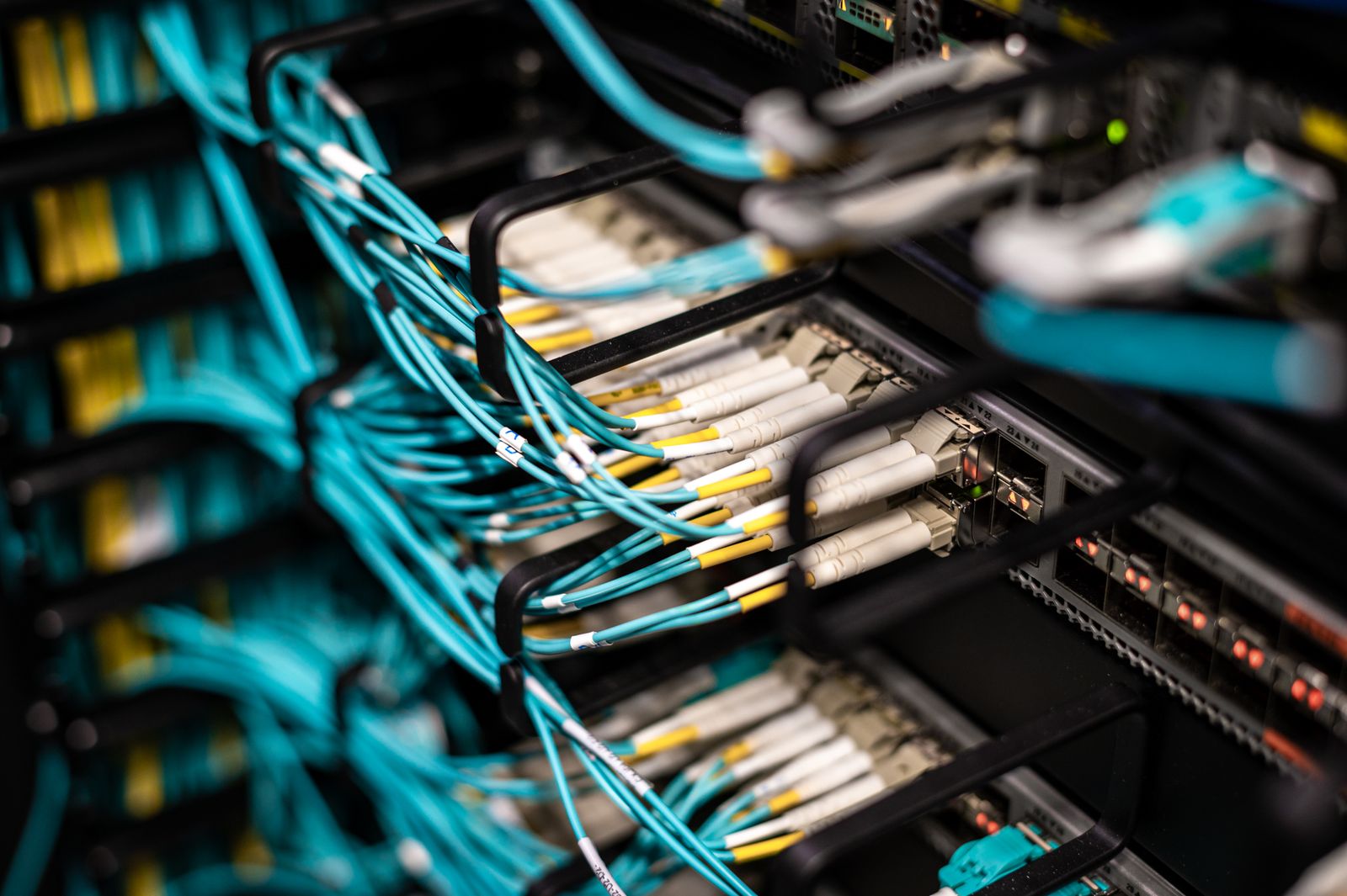 Detalle de cables de red conectados a un panel de distribución